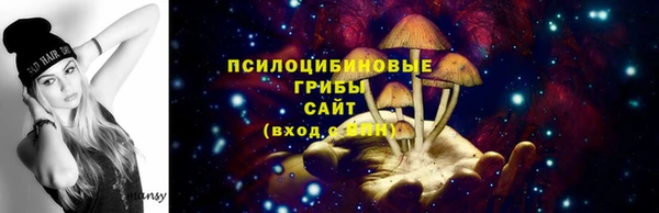 героин Алексин