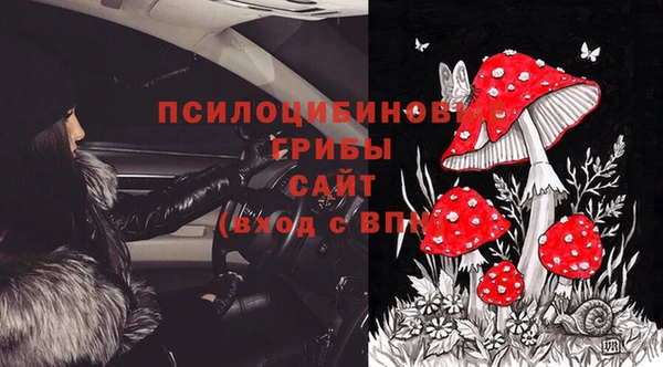 героин Алексин