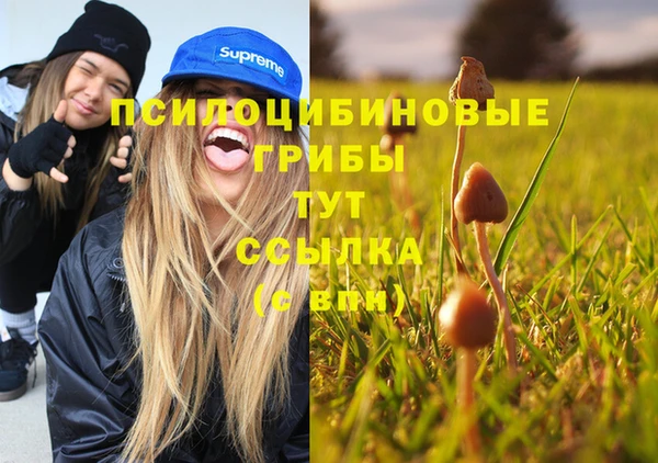 СК Михайловка